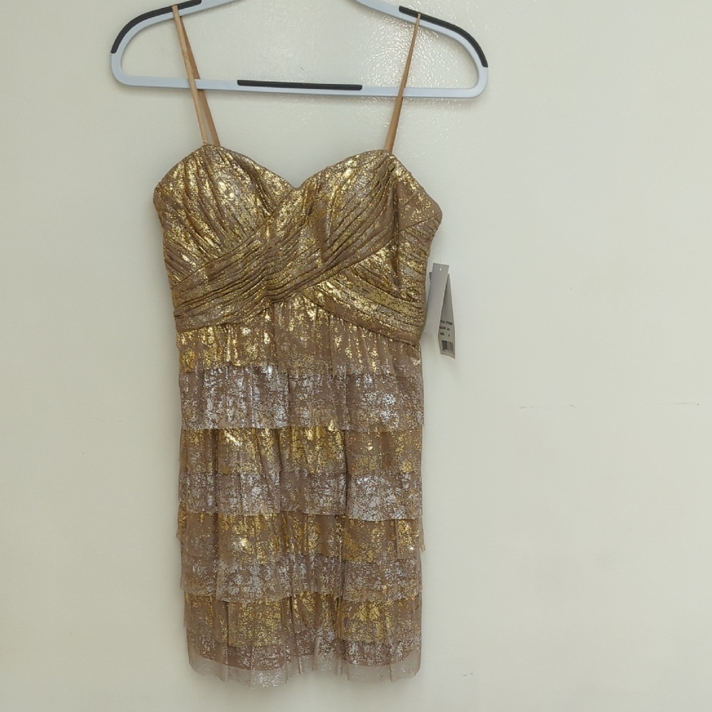 Shimmery Gold And Silver NWT Hailey Logan Dress